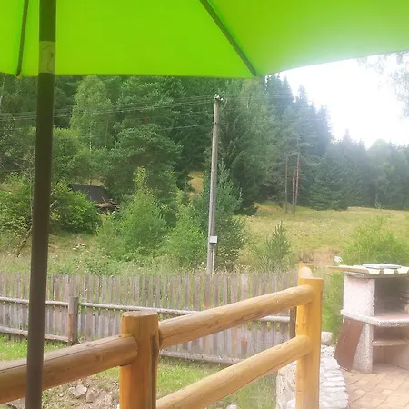 Holiday In Rotava Erzgebirge 1649 Karlovy Vary